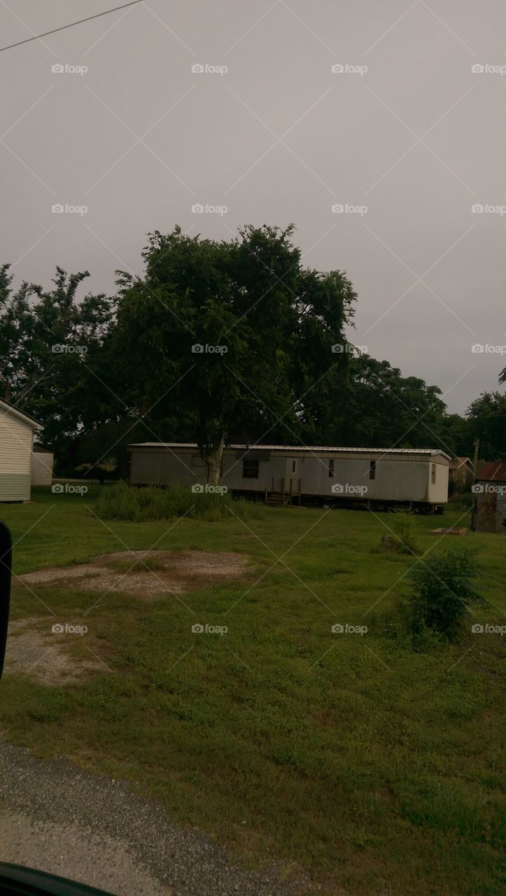 Landscape, Home, No Person, Tree, House