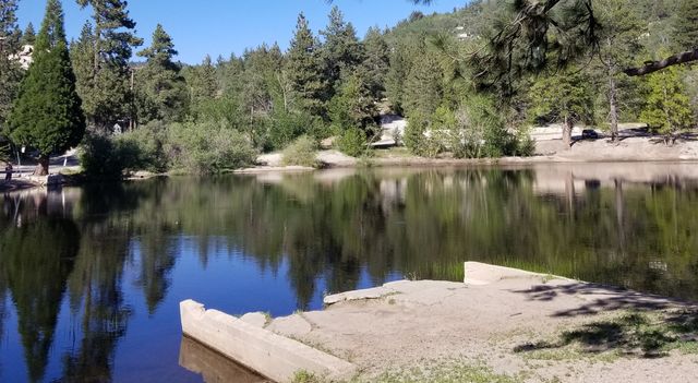 Mountain lake with pine trees, reflections, and a dock.