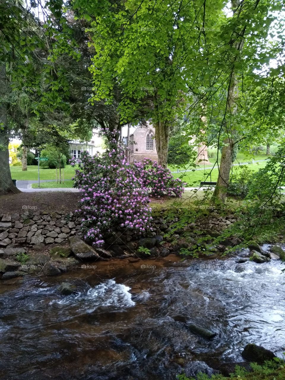 Kurpark in Bad Wildbad