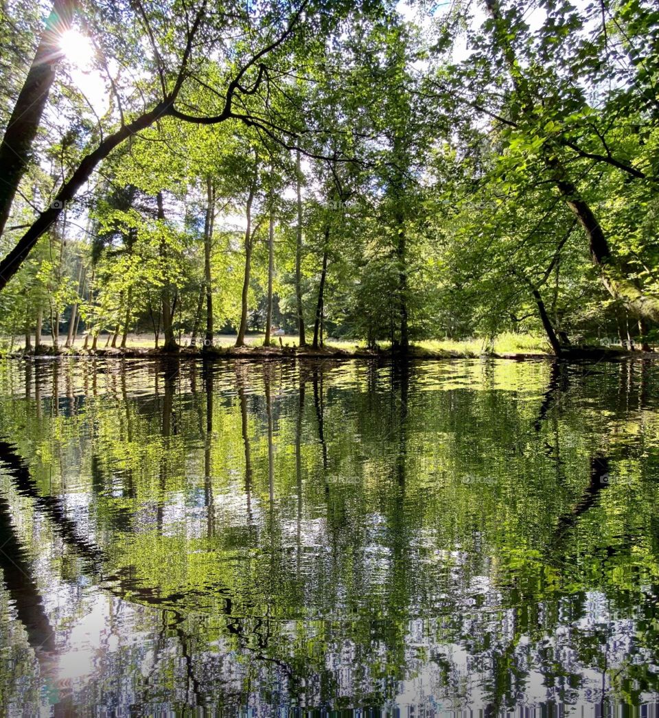 Steibachweiher 