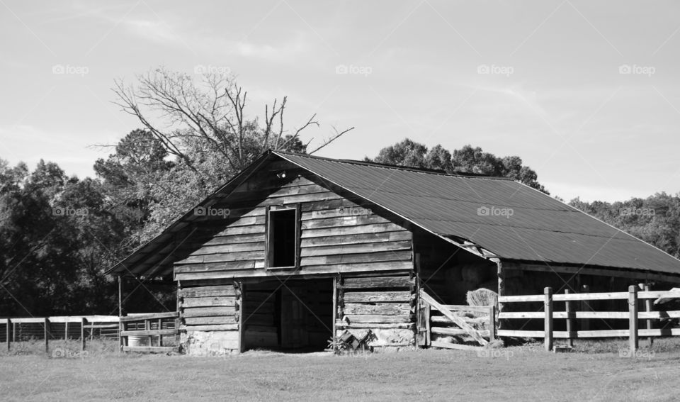 Barn