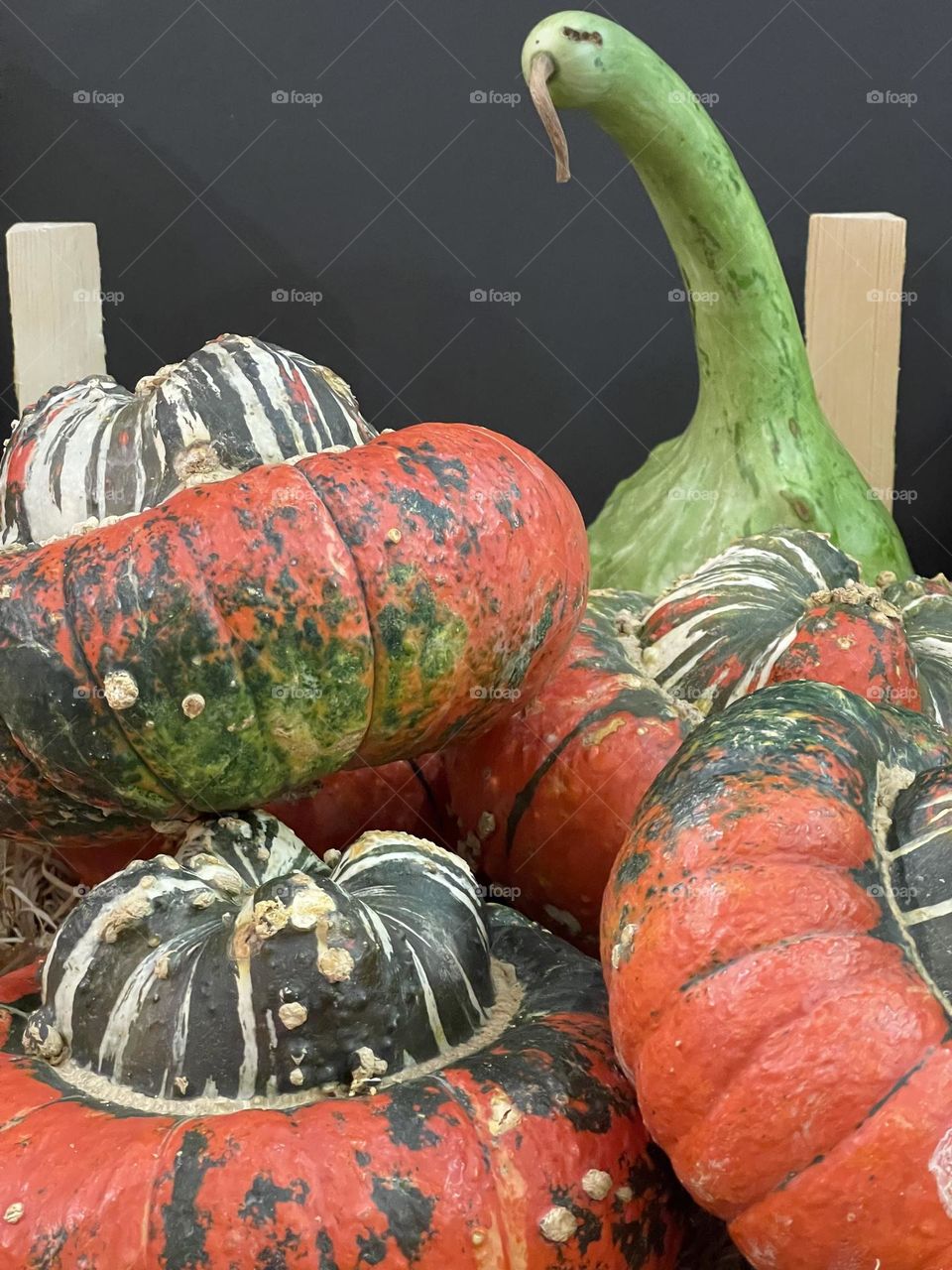 Turban squash pumpkins close up, autumn harvest, orange and green pumpkins, vegetable market stand 