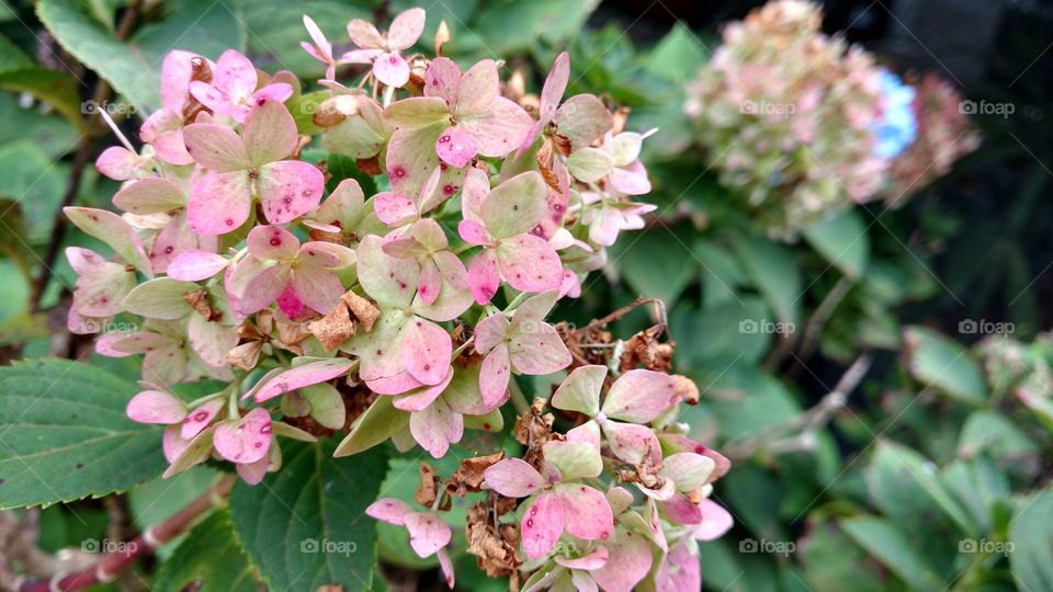 Encantos da natureza.