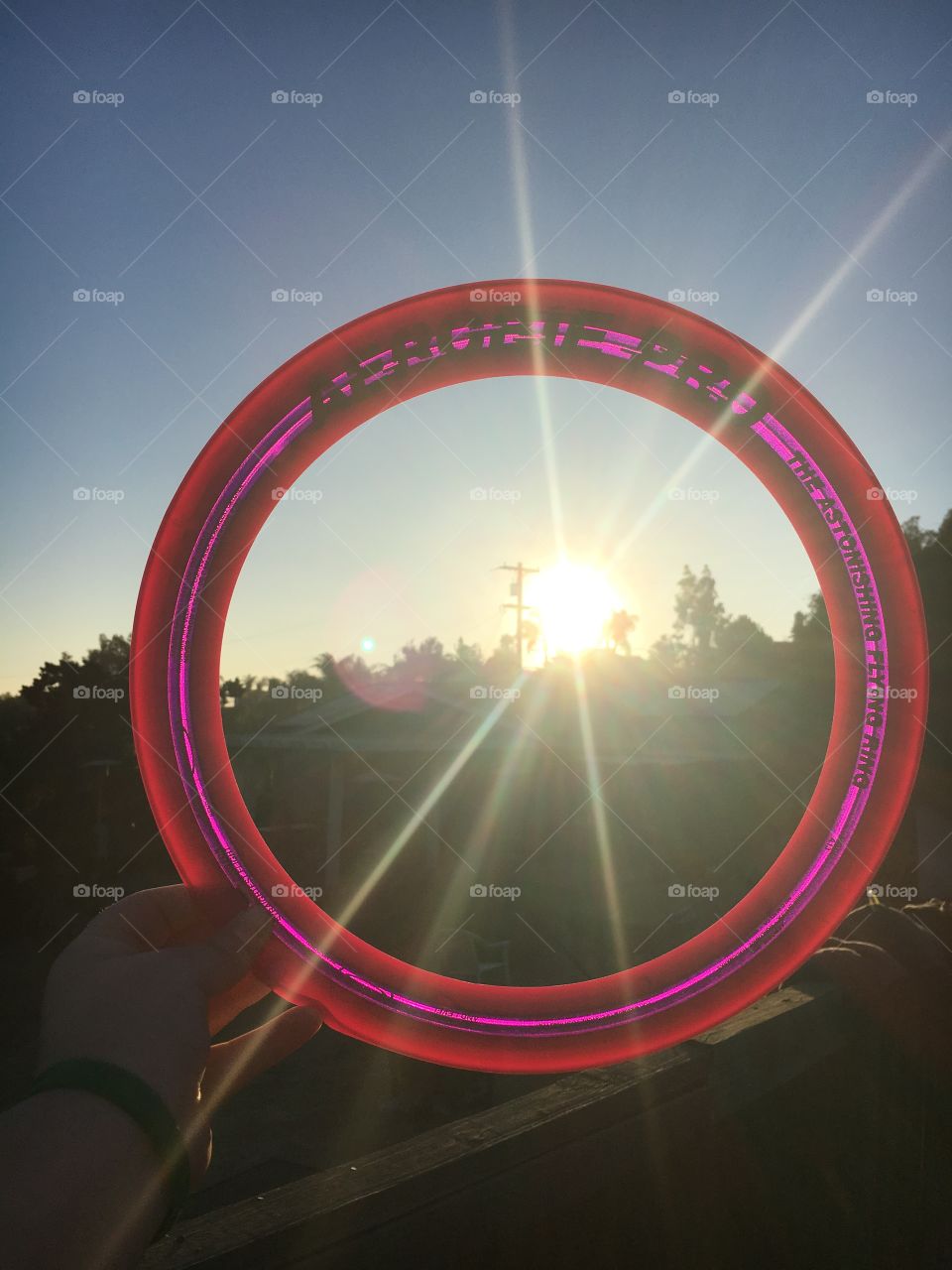 Sunlight through frisbee 