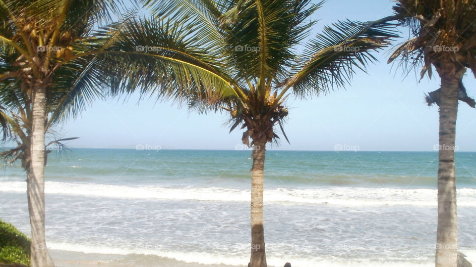 beach palm arena playa by feche_103