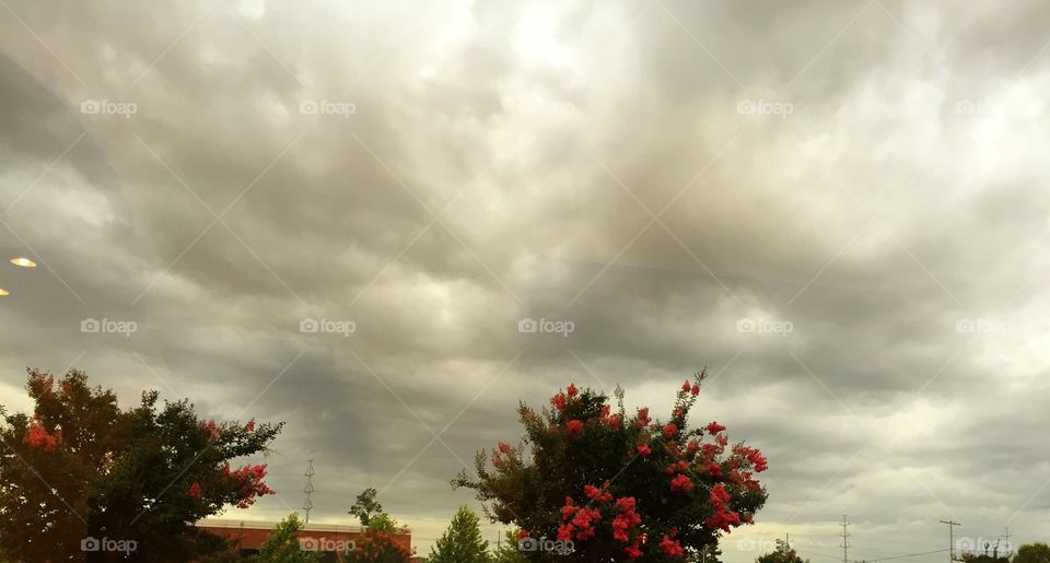 Storm clouds at sunset