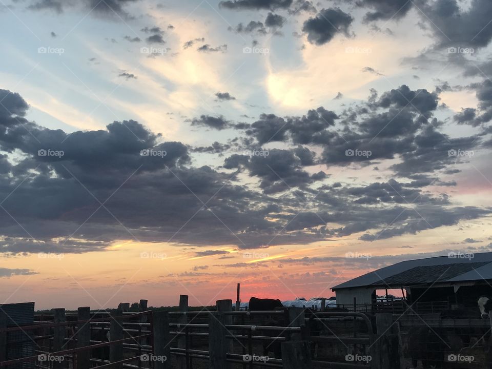 Beautiful sunset over the farm