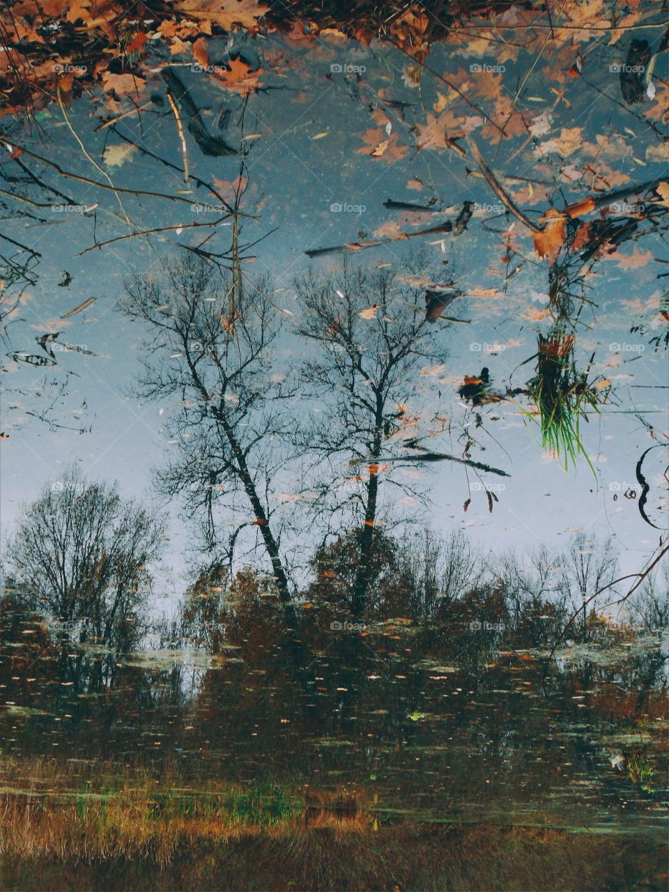 Reflection of autumn in the lake