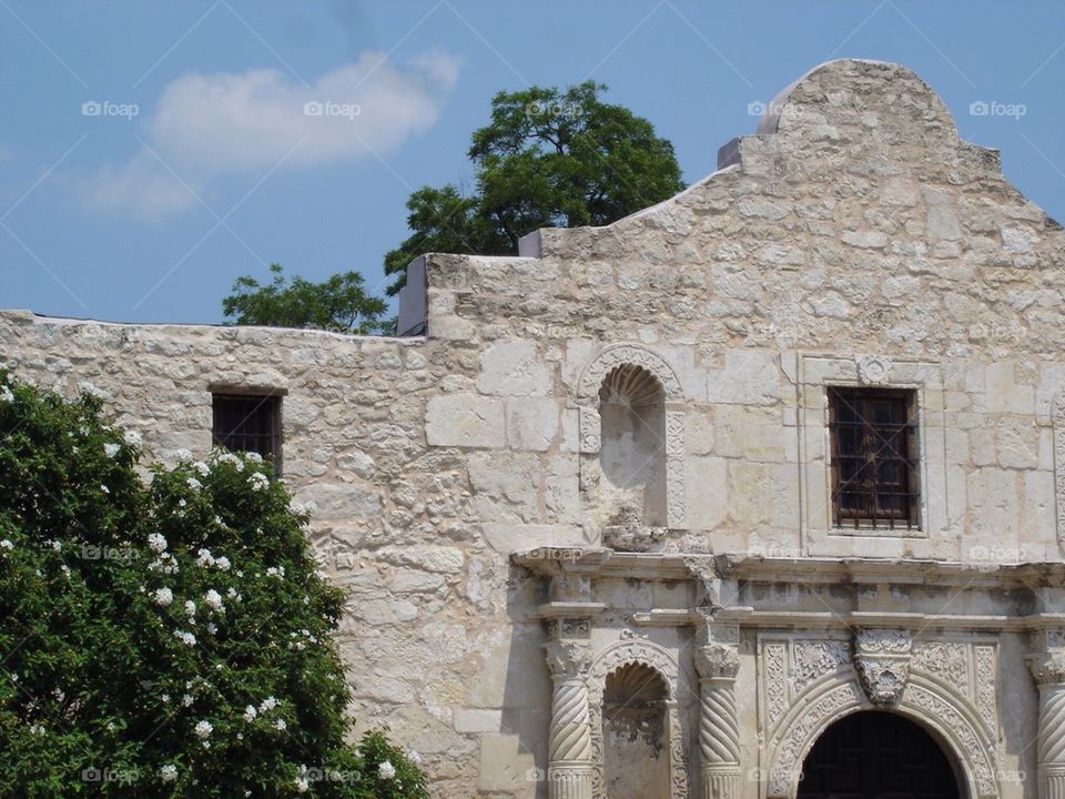 The Alamo 