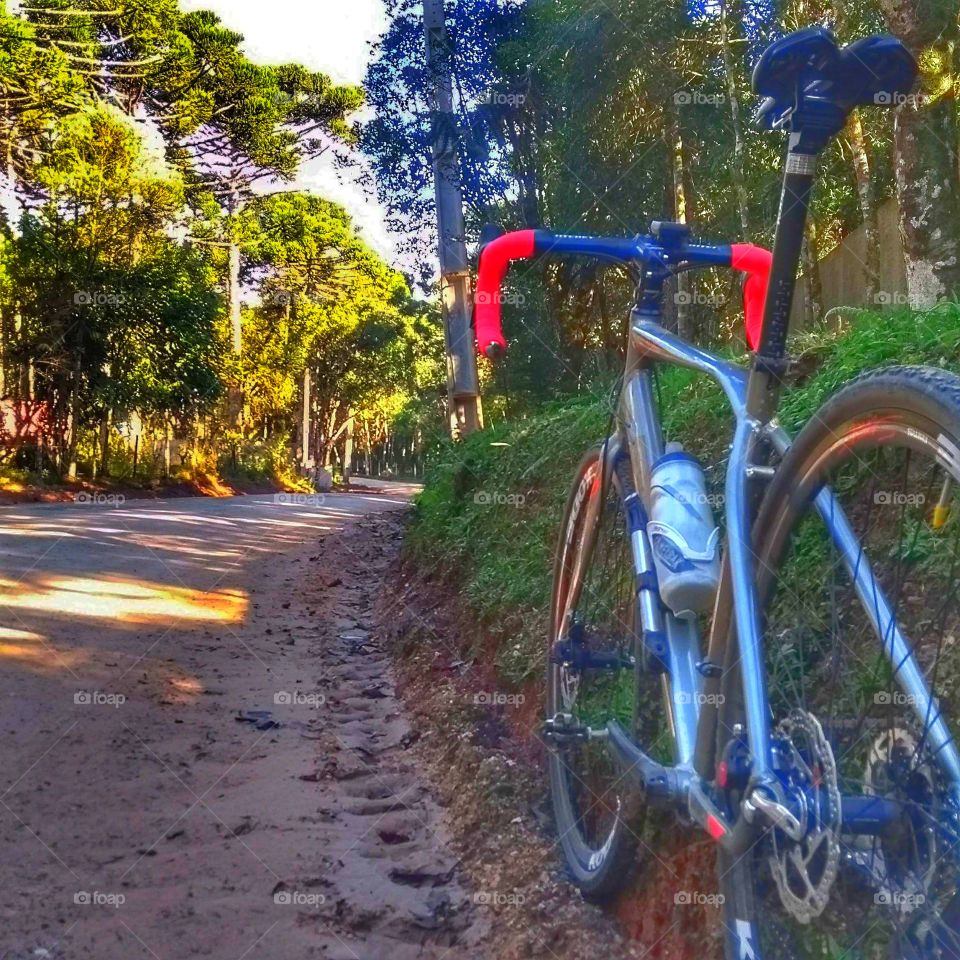 pedal bike bicicleta