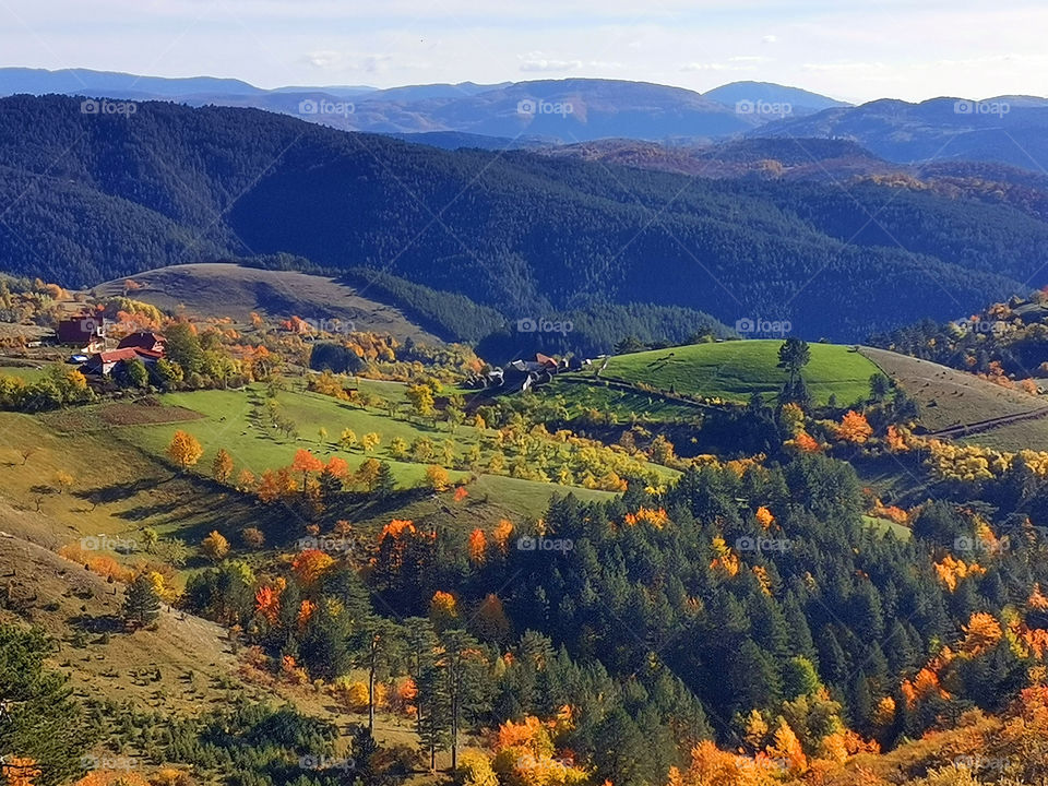 Autumn in the forest