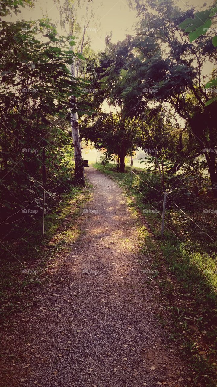 Islamabad Club Walking Trail

Islamabad, Pakistan.