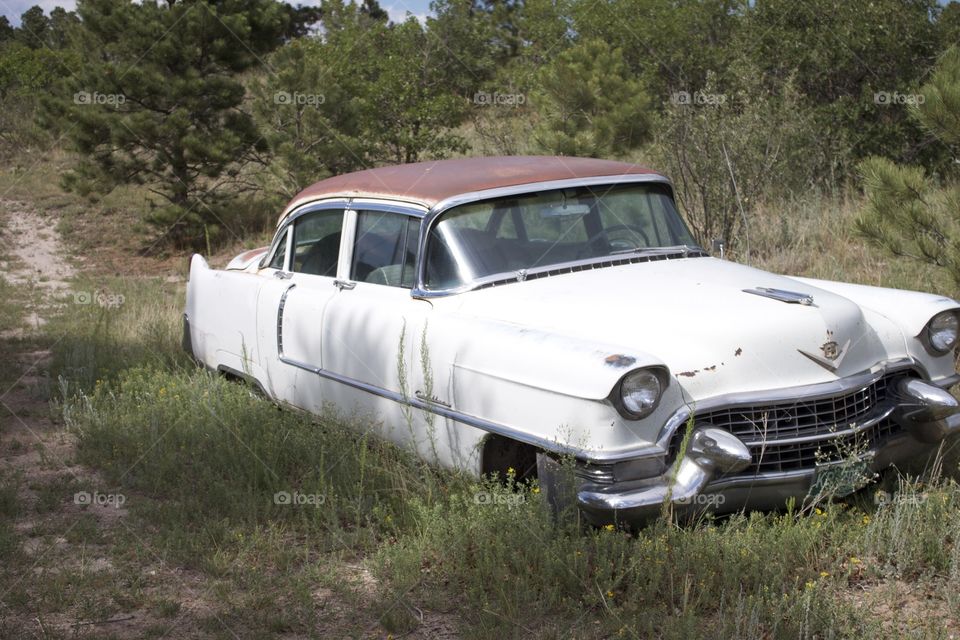 Abandoned vintage Cadillac car