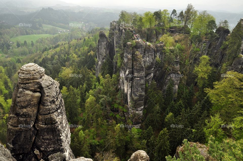 View of rock formations and trees at Bastei