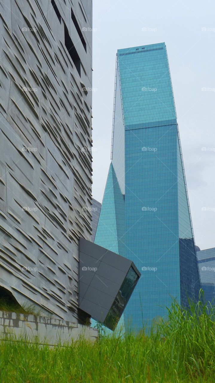 Dallas Perot Museum of Nature and Science building (left)