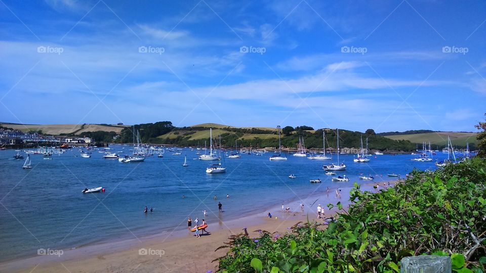 The Dart estuary