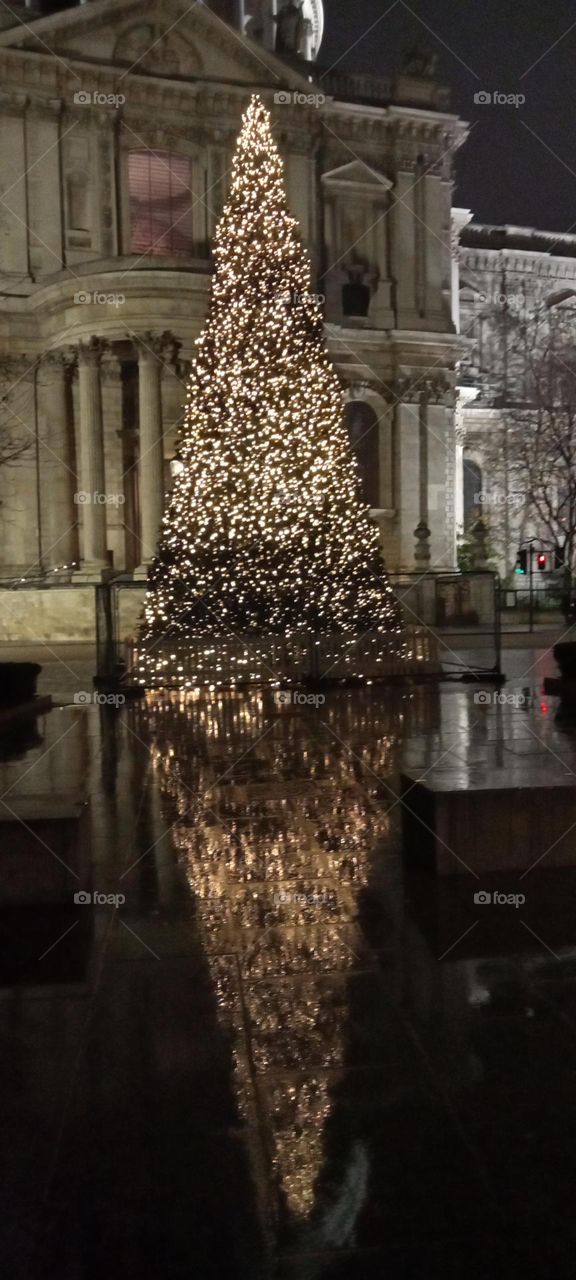Xmas tree reflection