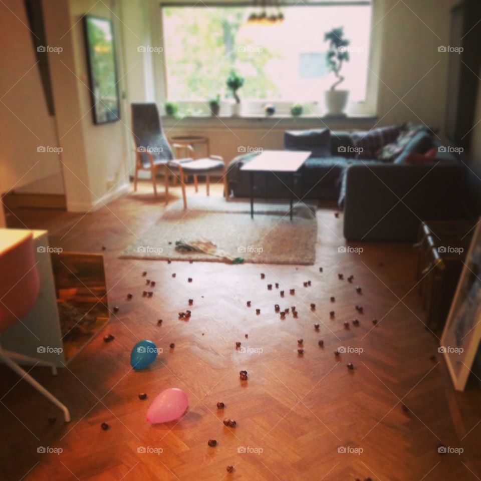 Chestnuts on the floor in apartment