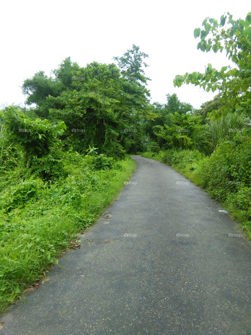 Road with beautiful nature