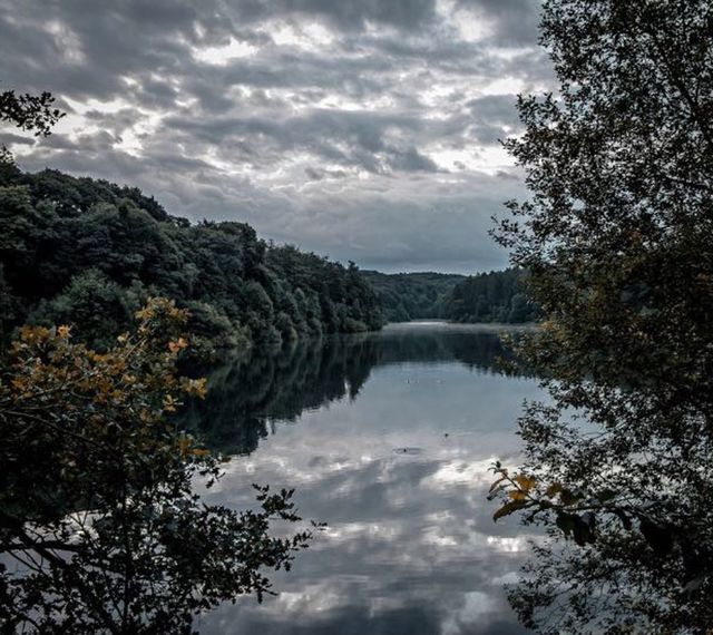 Lake nature