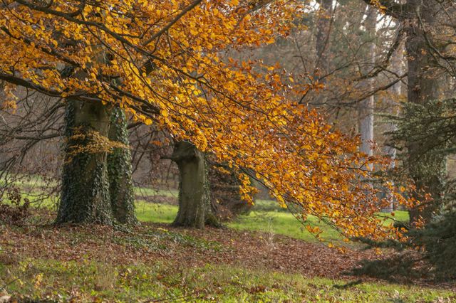 Autumn nature