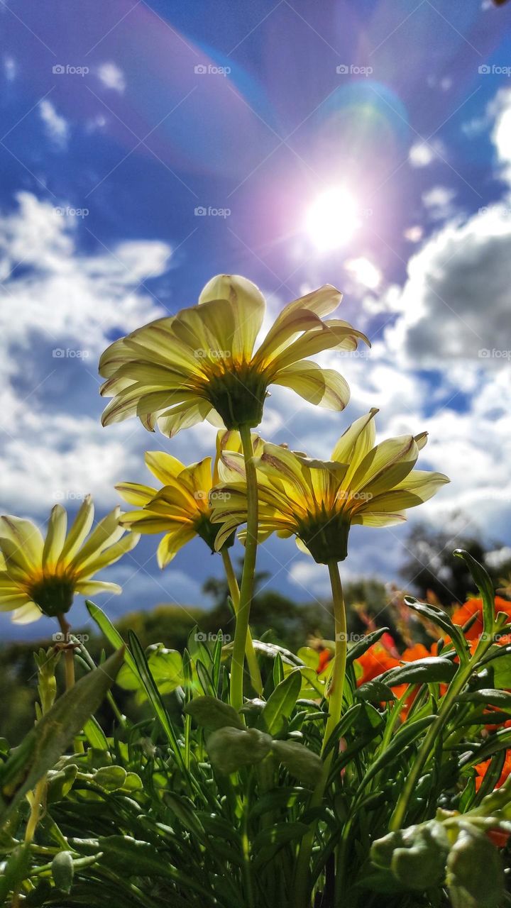 More light - more color!