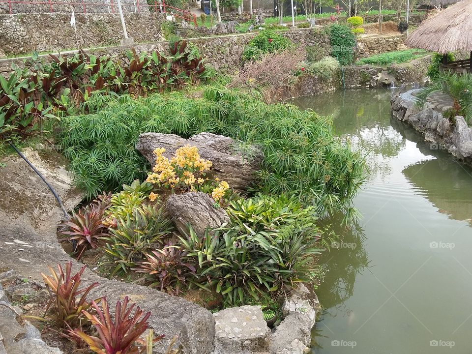 Baguio garden 