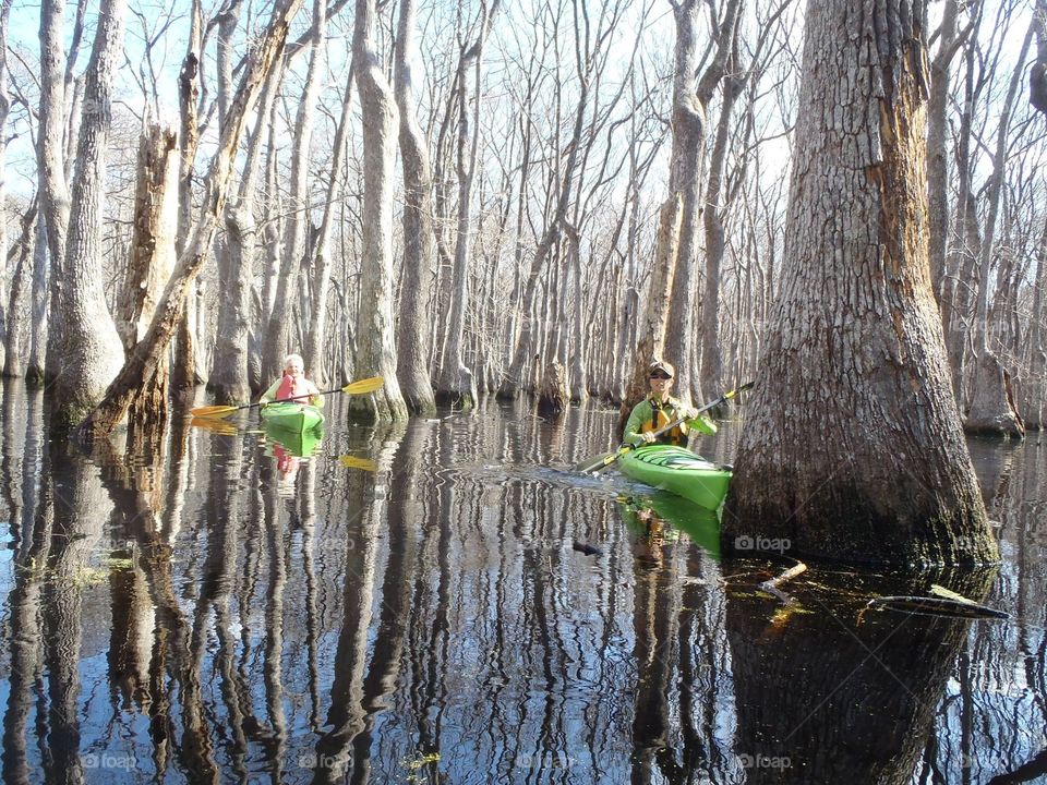 Kayak in the swamp