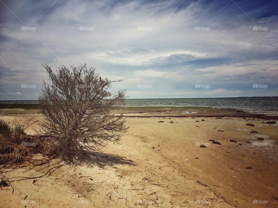 Cape Cod beach