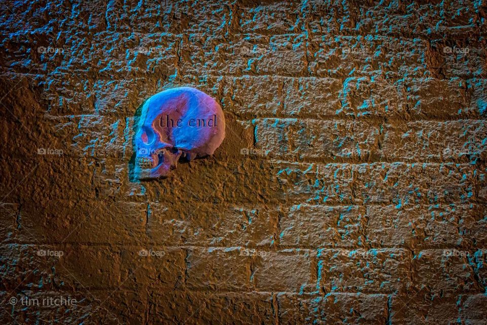 On a wall on Albion Way in Sydney’s Surry Hills is an excellent example of the longevity of Will Coles’ street art. This image of a skull with the words ‘The End’ has withstood humans and nature for many years