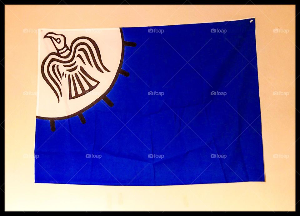 A Viking war banner adorning the wall of a man cave. It absolutely looks cool in blue.