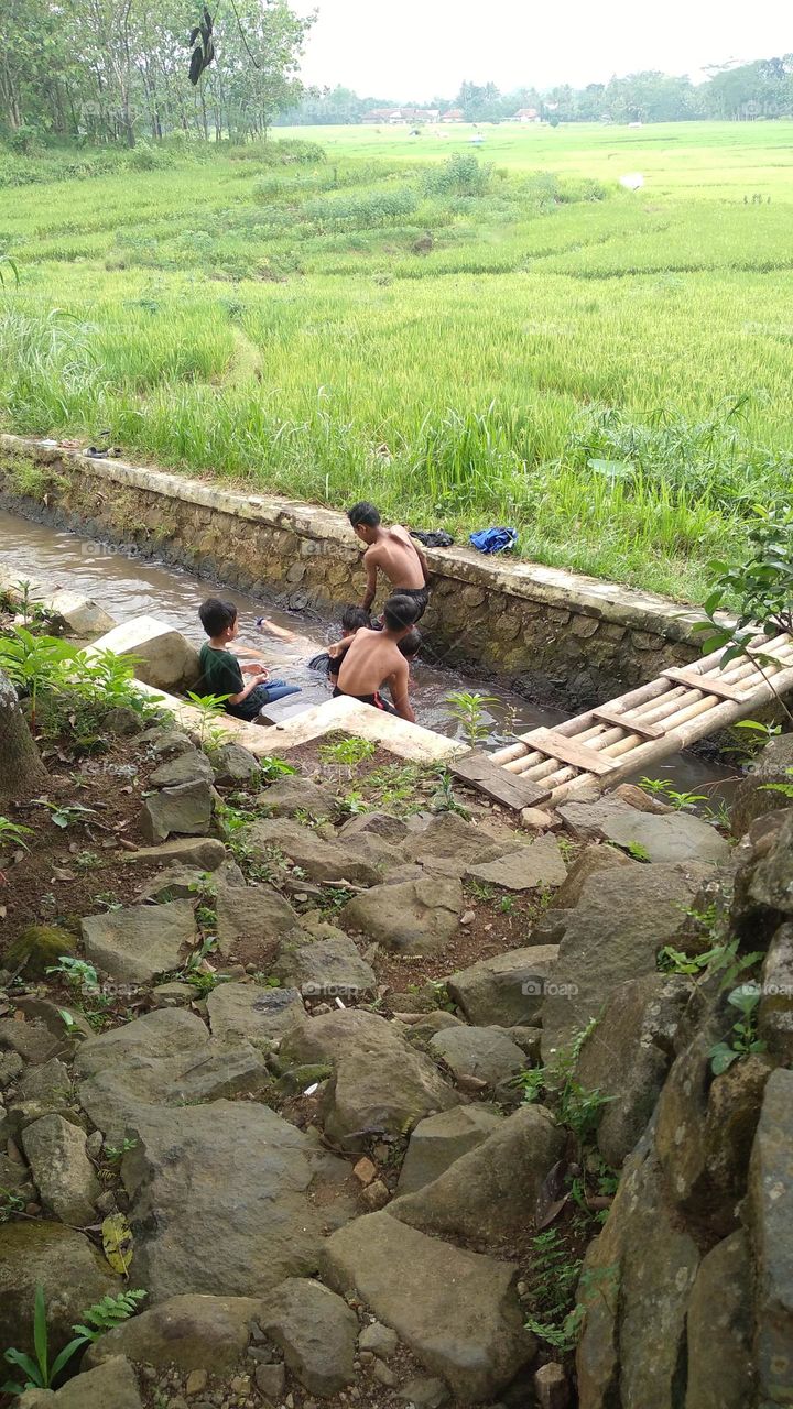 A small child who is cool playing in a small river on the edge of a rice field