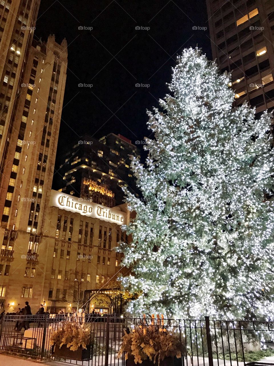 Christmas in Chicago 