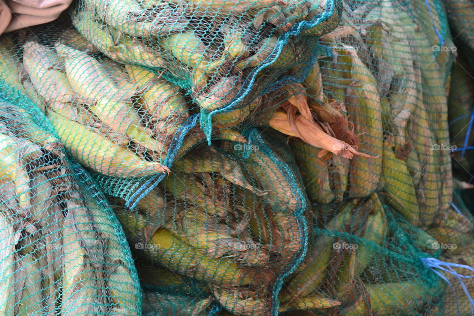 vegetables on the market