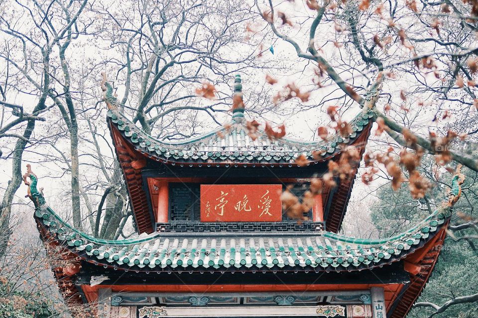 Eaves, Temple, Traditional, Forbidden, Winter