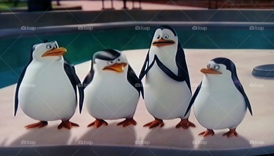 group penguin