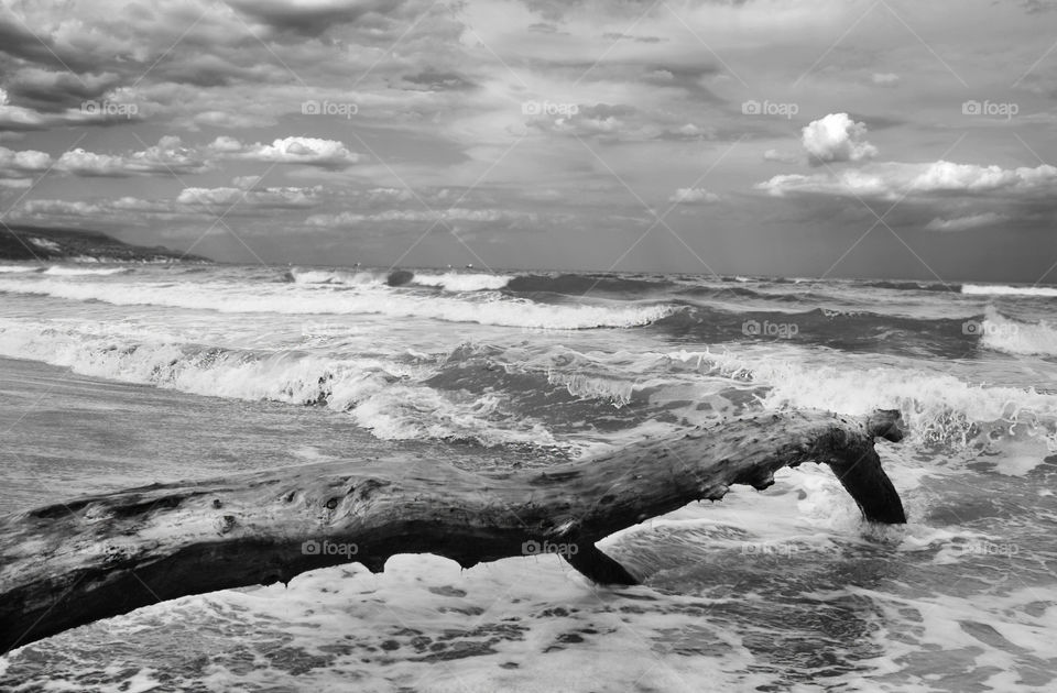 Seascape in black and white