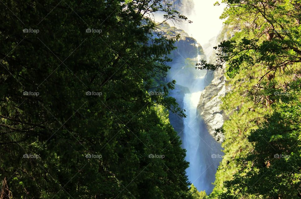 Scenic view of forest and waterfall