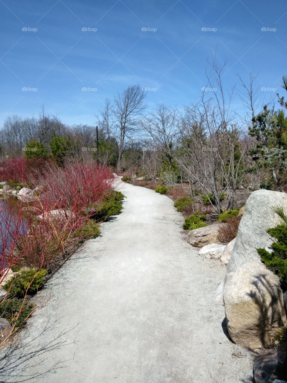 Japanese garden pathway