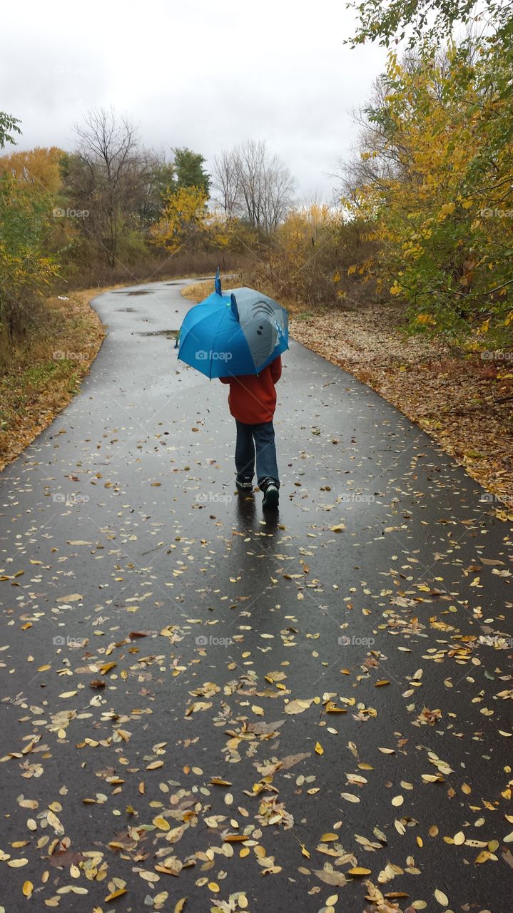 Boy in Fall. fall walk  in Wisconsin