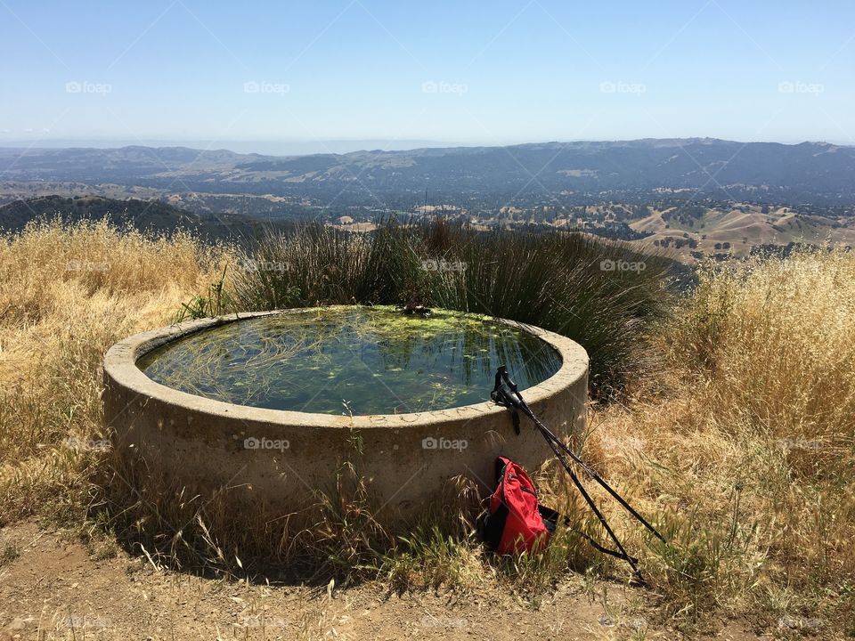 Burma Springs, Mt. Diablo, California 