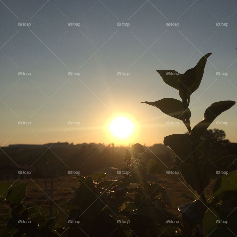 🌅Desperte, Jundiaí. 
Que a jornada diária possa valer a pena!
🍃
#sol #sun #sky #céu #photo #nature #morning #alvorada #natureza #horizonte #fotografia #pictureoftheday #paisagem #inspiração #amanhecer #mobgraphy #mobgrafia #Jundiaí #AmoJundiaí 