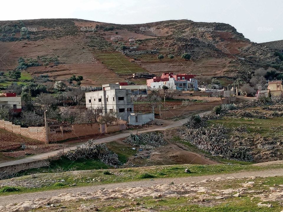 population between the nature