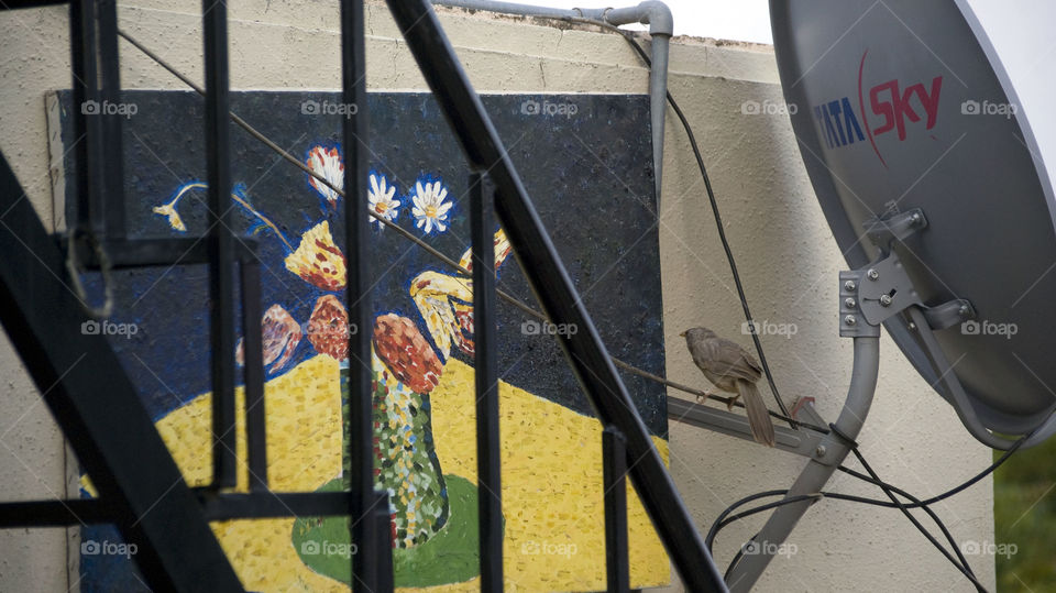 A little bird trying to understand my art work.