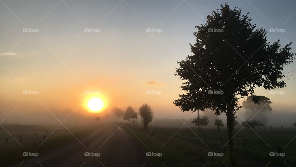 Foggy morning sun