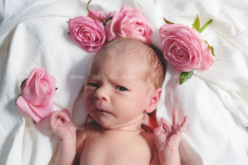 Angry baby lies on a bed among roses