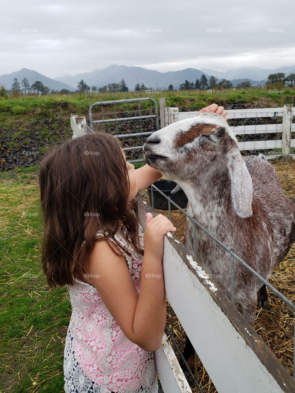 petting zoo girl and goat