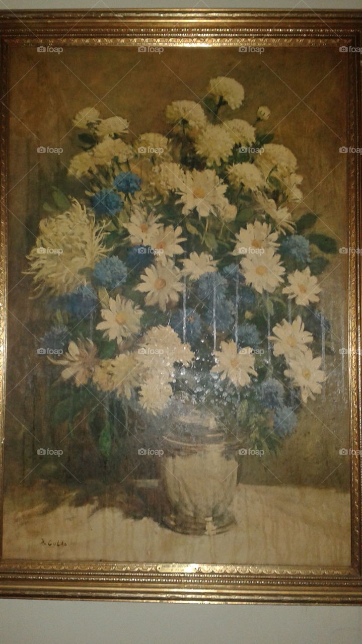 Daisies and Corn Flowers. A beautiful picture of mine by R. Colao.