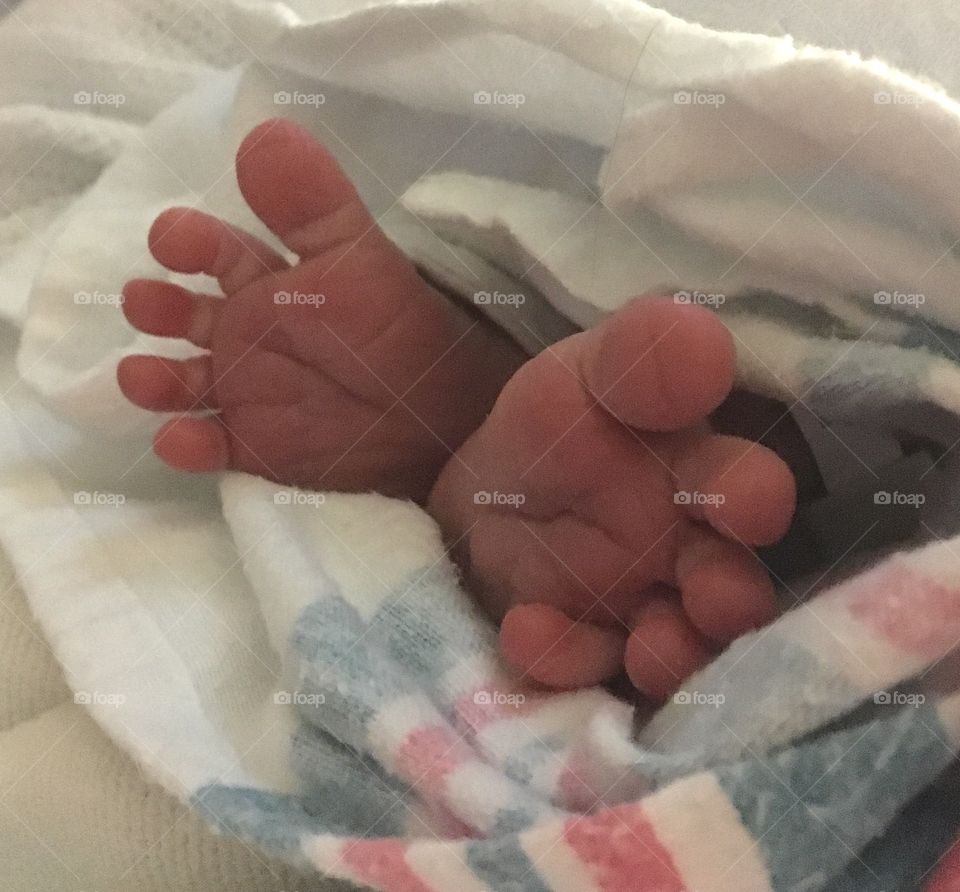 Baby toes
