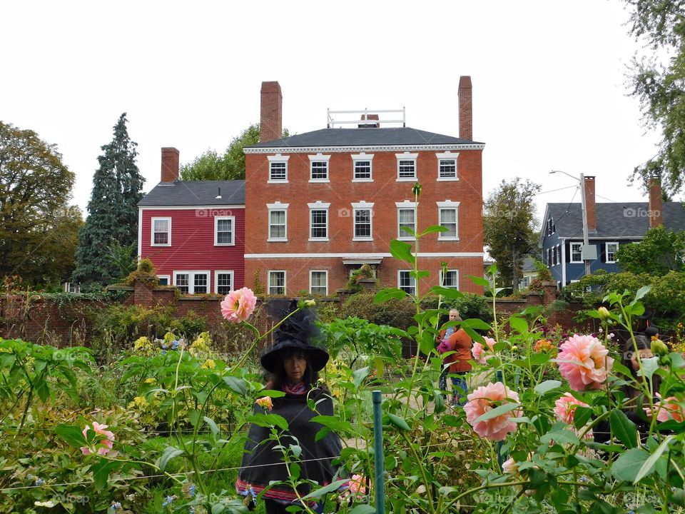 Lady in black amongst the dahlia 